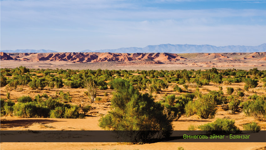 Khongor Dunes → Bayanzag (Flaming Cliffs)