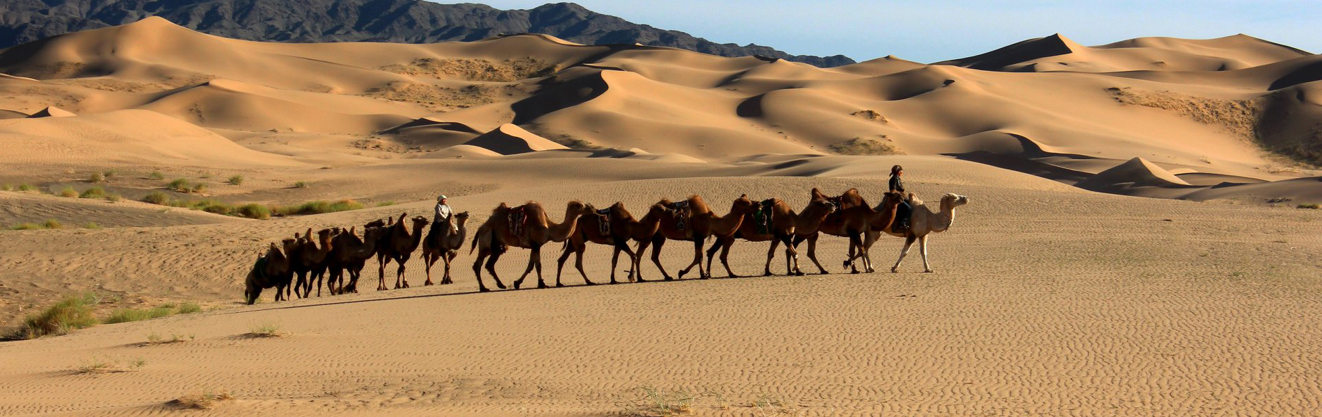 Gobi Wilderness Expedition
